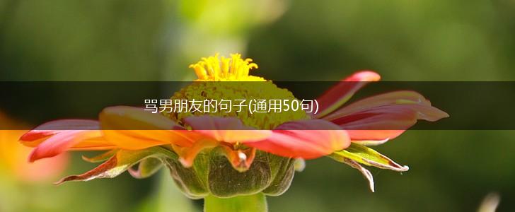 骂男朋友的句子(通用50句),第1张