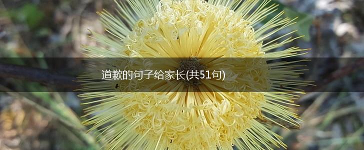 道歉的句子给家长(共51句),第1张