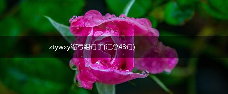 ztywxy缩写组句子(汇总43句),第1张