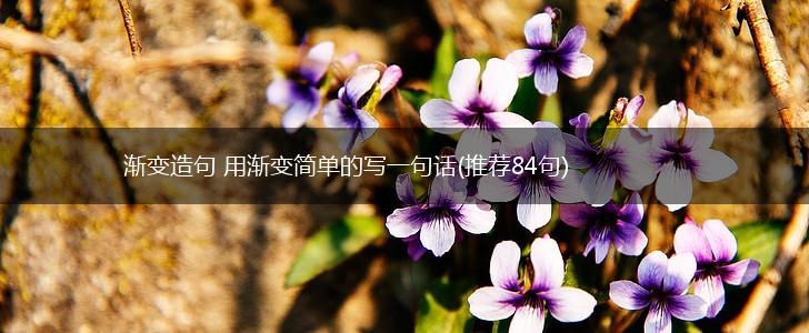渐变造句 用渐变简单的写一句话(推荐84句),第1张