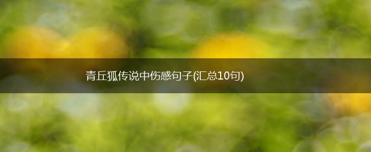 青丘狐传说中伤感句子(汇总10句),第1张