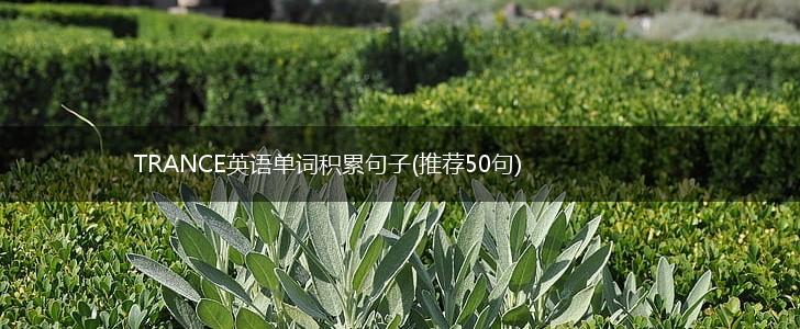 TRANCE英语单词积累句子(推荐50句),第1张