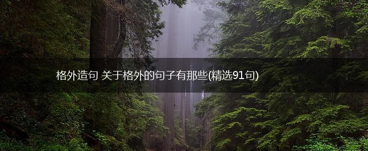 格外造句 关于格外的句子有那些(精选91句),第1张