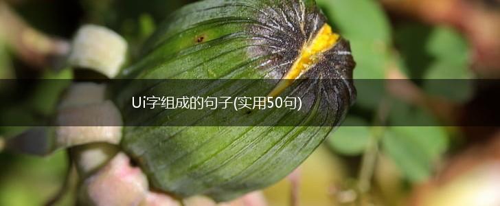 Ui字组成的句子(实用50句),第1张