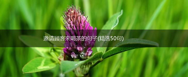 邀请顾客来喝茶的句子(精选50句),第1张
