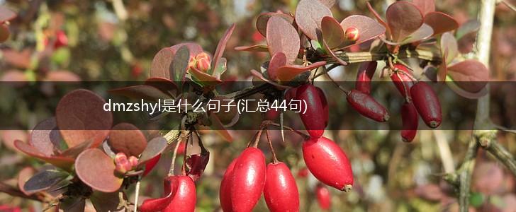 dmzshyl是什么句子(汇总44句),第1张