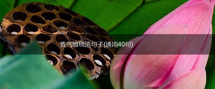 香气缭绕造句子(通用40句),第1张