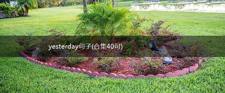yesterday句子(合集40句),第1张