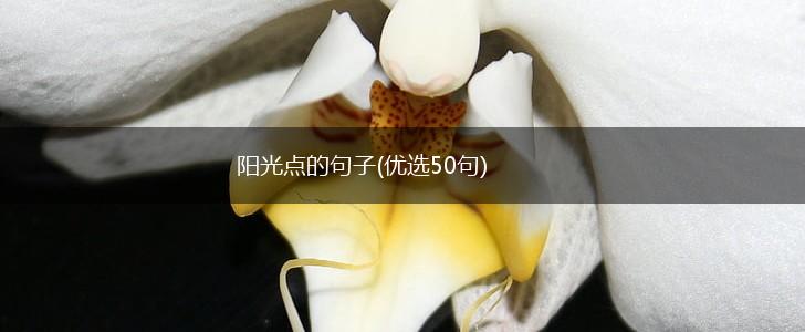 阳光点的句子(优选50句),第1张