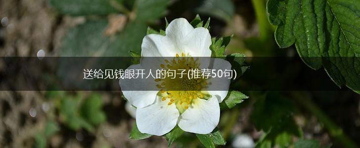 送给见钱眼开人的句子(推荐50句),第1张