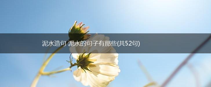泥水造句 泥水的句子有那些(共52句),第1张
