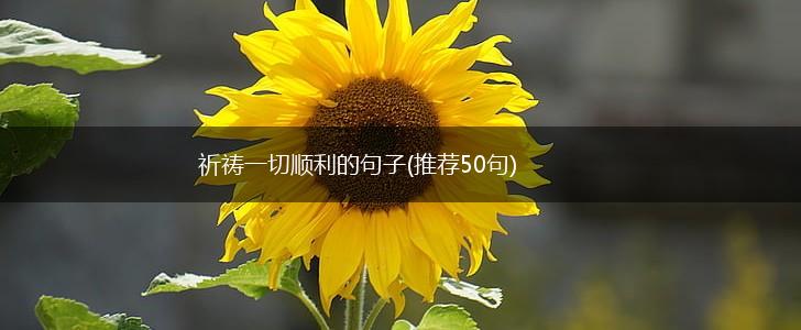 祈祷一切顺利的句子(推荐50句),第1张