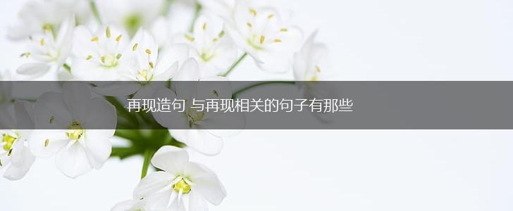 再现造句 与再现相关的句子有那些,第1张