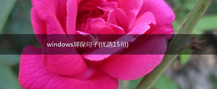 windows屏保句子(优选15句),第1张