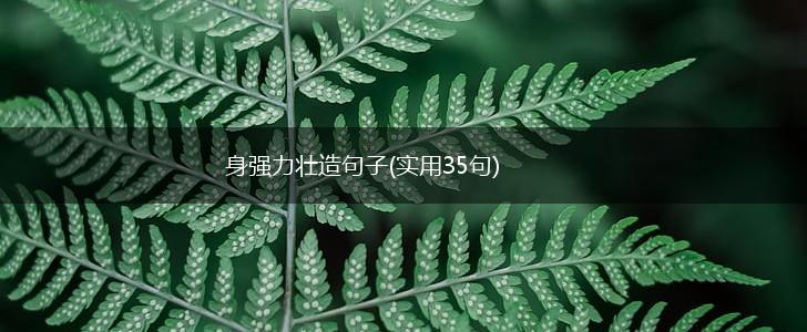 身强力壮造句子(实用35句),第1张