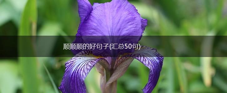 顺顺顺的好句子(汇总50句),第1张