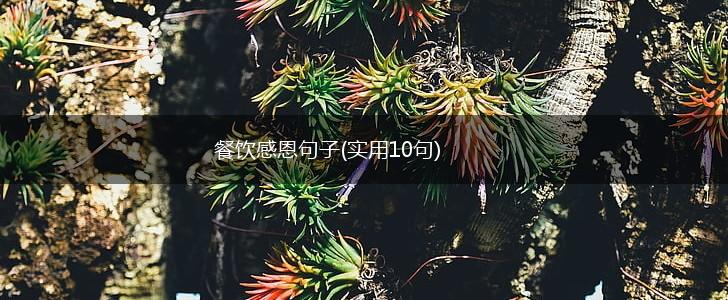 餐饮感恩句子(实用10句),第1张