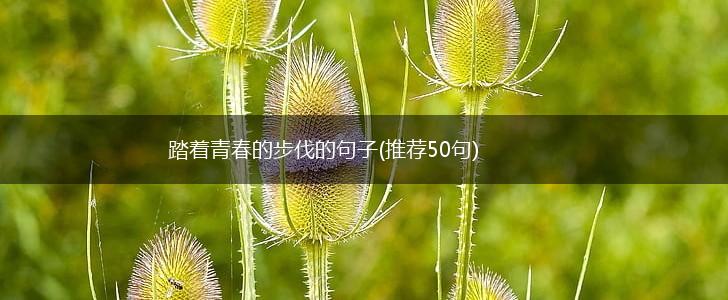 踏着青春的步伐的句子(推荐50句),第1张