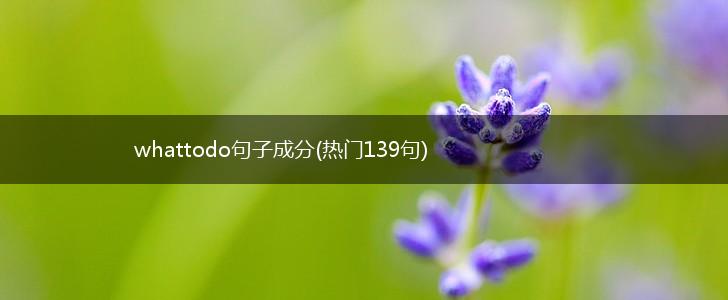 whattodo句子成分(热门139句),第1张