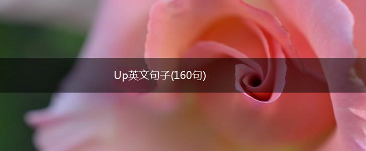 Up英文句子(160句),第1张