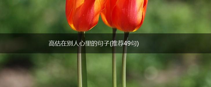 高估在别人心里的句子(推荐49句),第1张