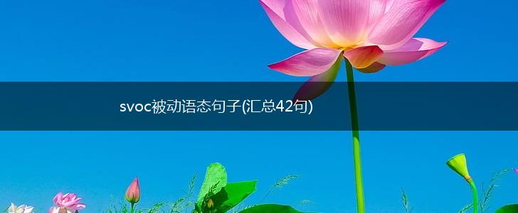 svoc被动语态句子(汇总42句),第1张