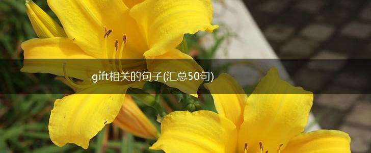 gift相关的句子(汇总50句),第1张
