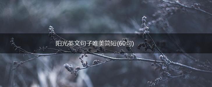 阳光英文句子唯美简短(60句),第1张