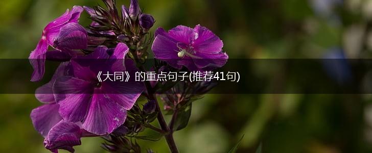 《大同》的重点句子(推荐41句),第1张