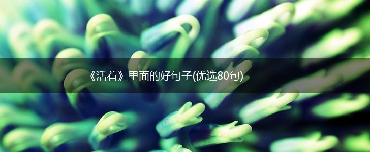 《活着》里面的好句子(优选80句),第1张