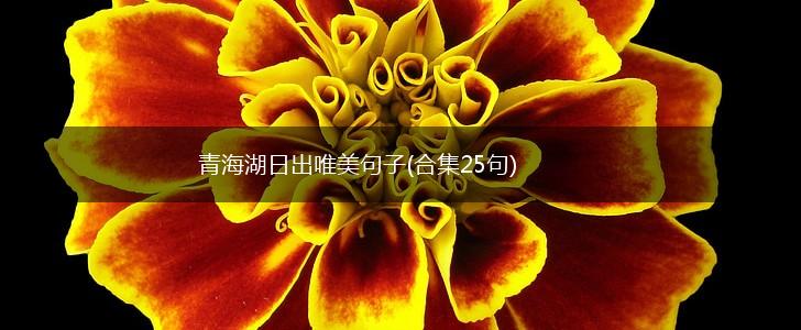 青海湖日出唯美句子(合集25句),第1张