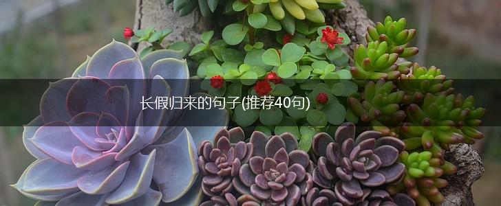 长假归来的句子(推荐40句),第1张