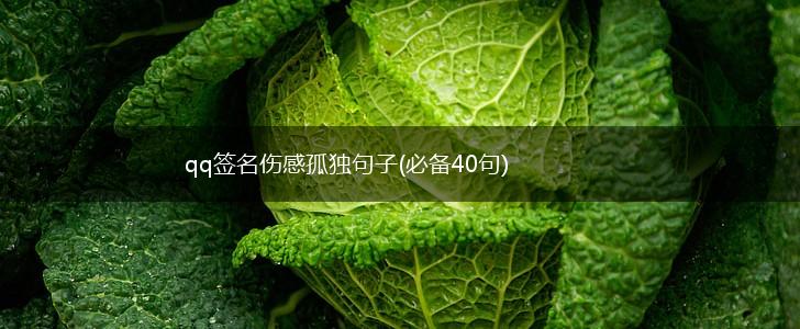 qq签名伤感孤独句子(必备40句),第1张