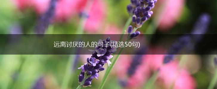 远离讨厌的人的句子(精选50句),第1张