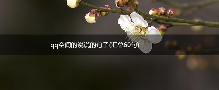qq空间的说说的句子(汇总60句),第1张