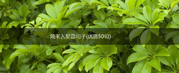 频来入梦造句子(优选50句),第1张