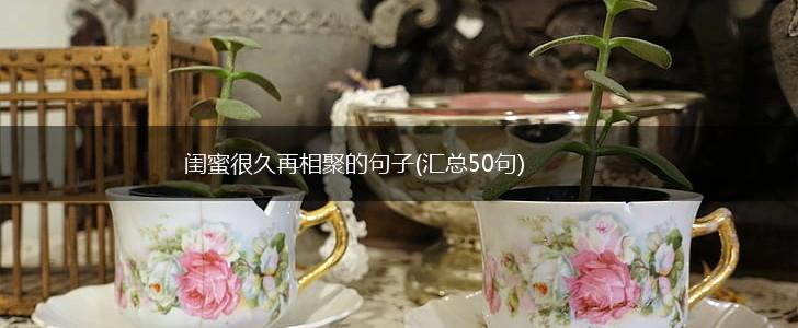 闺蜜很久再相聚的句子(汇总50句),第1张