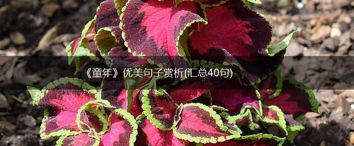 《童年》优美句子赏析(汇总40句),第1张