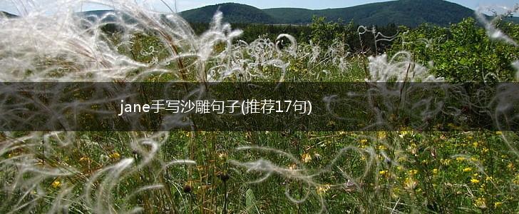 jane手写沙雕句子(推荐17句),第1张