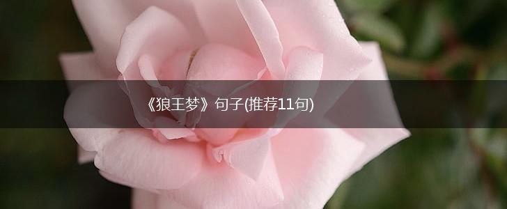 《狼王梦》句子(推荐11句),第1张