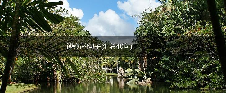 i悲伤的句子(汇总40句),第1张