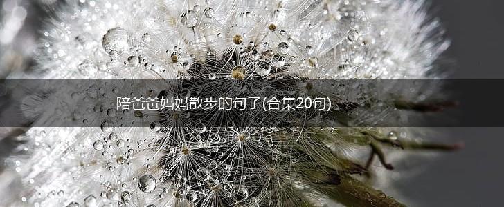 陪爸爸妈妈散步的句子(合集20句),第1张