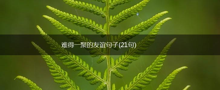 难得一聚的友谊句子(21句),第1张