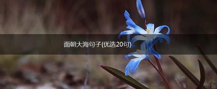 面朝大海句子(优选20句),第1张