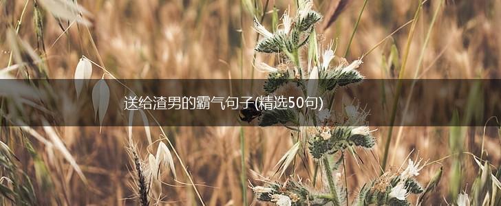 送给渣男的霸气句子(精选50句),第1张