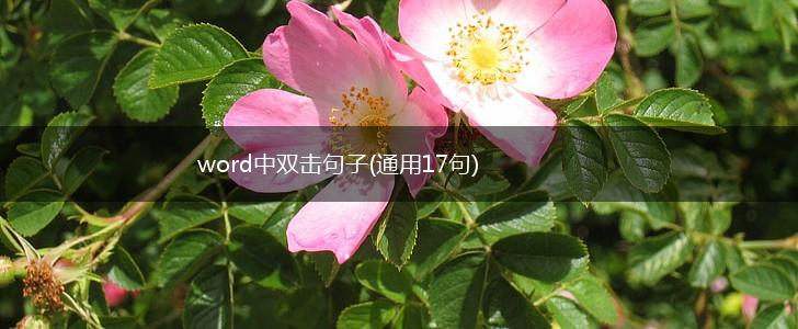 word中双击句子(通用17句),第1张