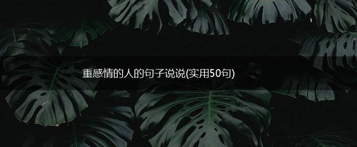 重感情的人的句子说说(实用50句),第1张