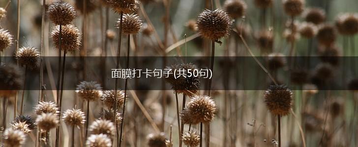 面膜打卡句子(共50句),第1张