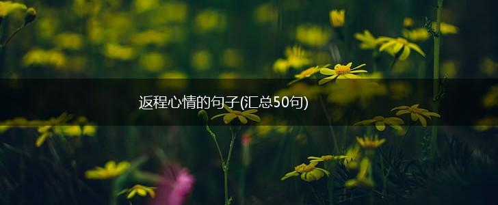 返程心情的句子(汇总50句),第1张