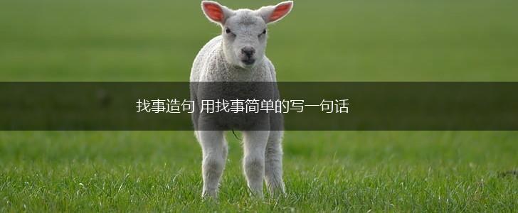 找事造句 用找事简单的写一句话,第1张